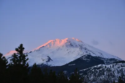 DSC_5974 (Large).JPG